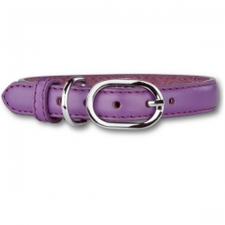 Collier pour chien mauve éclat