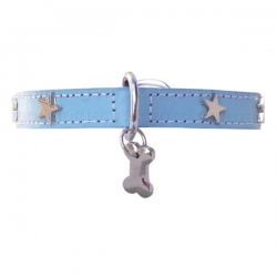 Collier pour chien Little Star Bleu