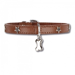 Collier pour chien Little Star Marron