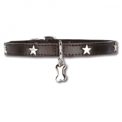 Collier pour chien Little Star Noir