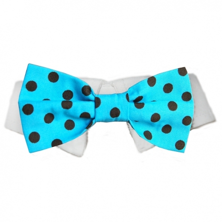 Nœud papillon pour chien bleu à pois