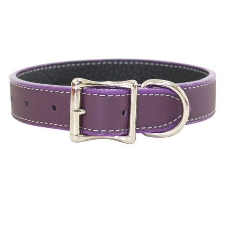 Collier pour gros chien violet