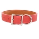 Collier pour gros chien orange