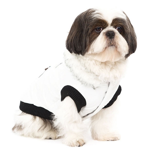 manteau chien blanc