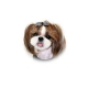 Barrette pour chien pied de poule