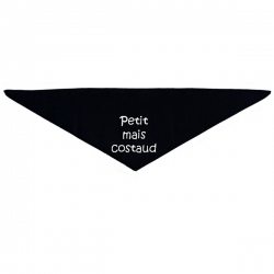 Bandana pour chien Petit mais costaud