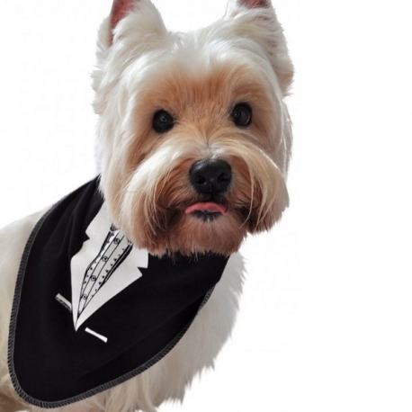 Bandana pour chien cravate