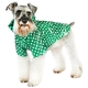 Imperméable pour chien Petit Lutin vert