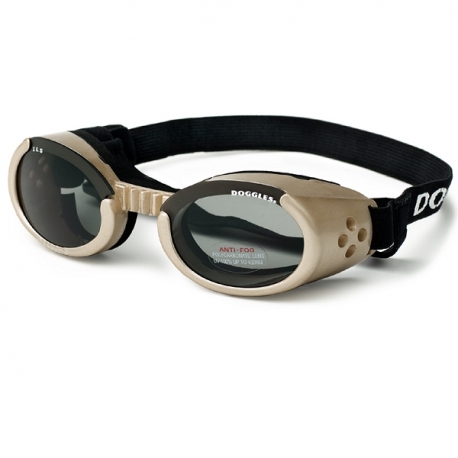 Lunettes beige pour chien