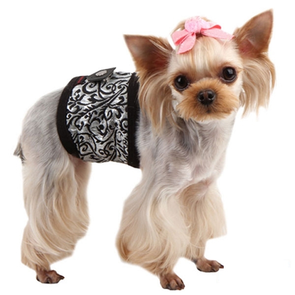 Accessoires d'hygiène pour petits chiens, culottes, bandeau anti pipi.