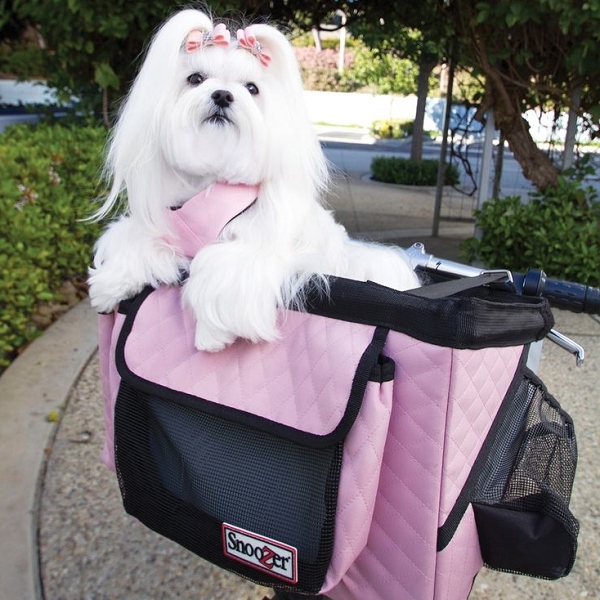 Panier de transport de vélo pour chien de moins de 7 kilos