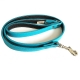 Laisse pour gros chien turquoise