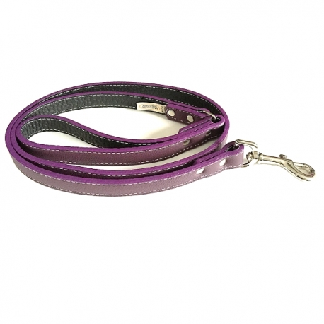 Laisse pour gros chien violette