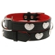 Collier en cuir pour chien le Rouge et le Noir