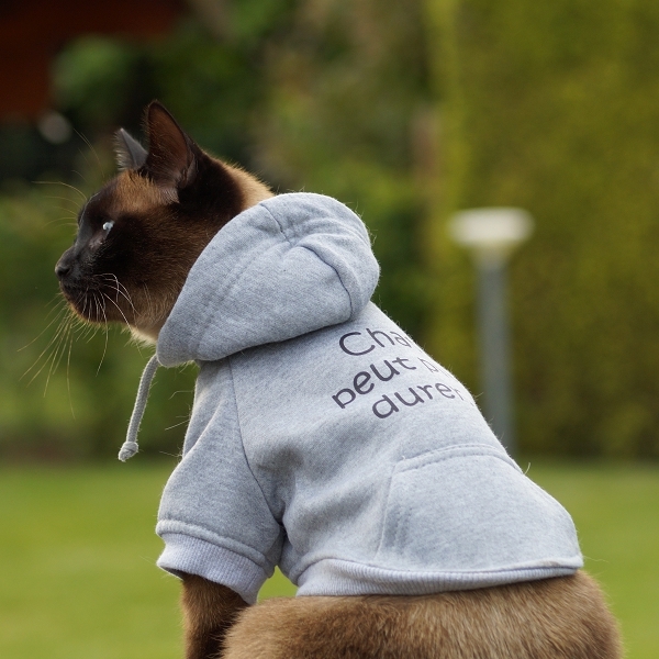 Vetements pour chat