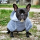 Sweat pour chien gris