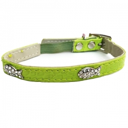 Collier pour chat de luxe vert