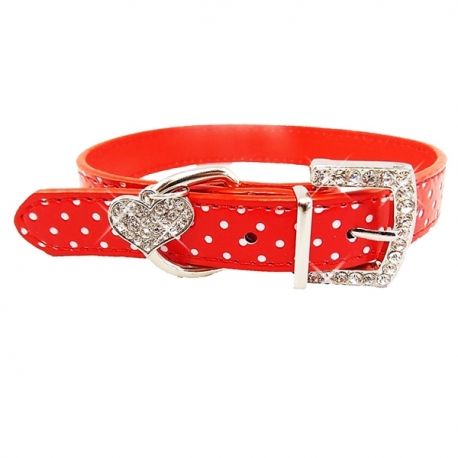 Collier pour chien Darling