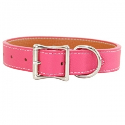 Collier pour gros chien rose