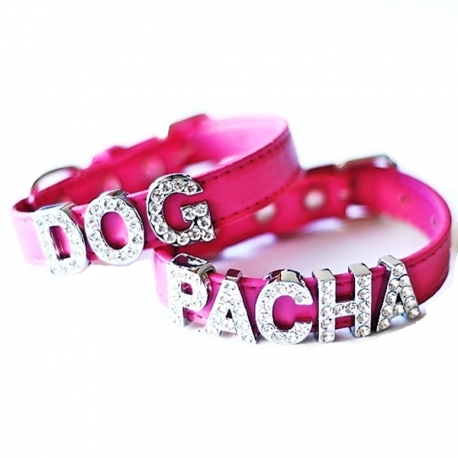 Collier pour chien à personnaliser fuchsia