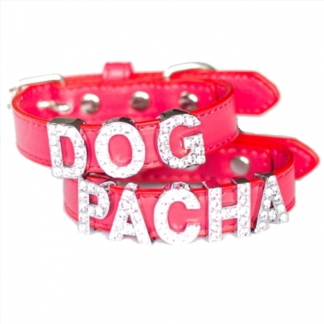 Collier pour chien à personnaliser rouge