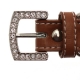 Collier pour chien bling bling marron