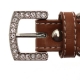 Collier pour chien bling bling marron