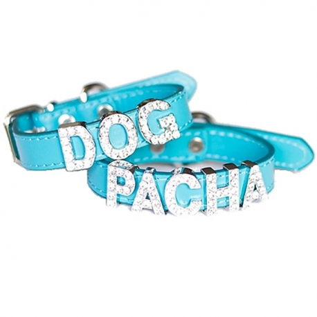 Collier pour chien à personnaliser turquoise