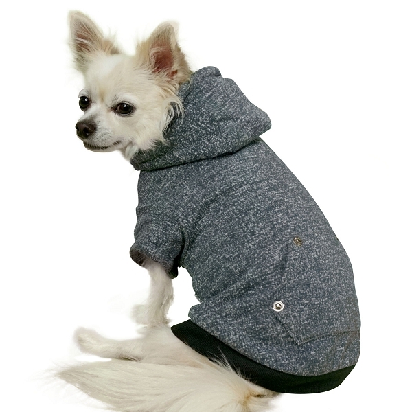 pull pour chihuahua