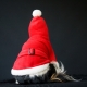 Déguisement pour chien Papa Noël