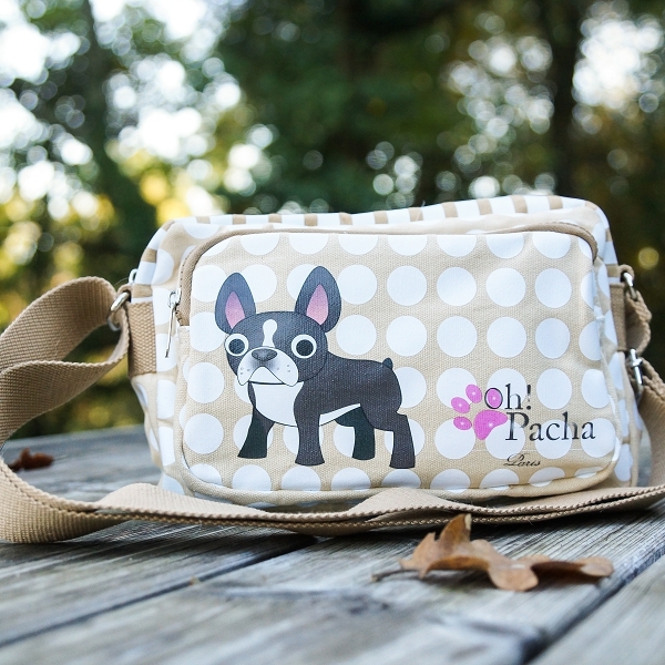 DIY Sac de voyage pour Chien : 11 Accessoires Importants - Blog