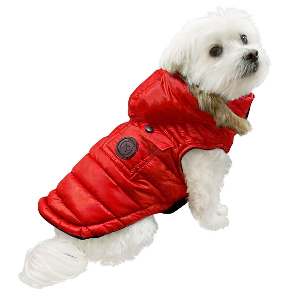 manteau pour bichon maltais