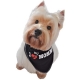 Bandana pour chien I love my Mommy