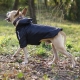 Manteau pour gros chien réversible noir 