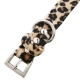Collier pour chien Piccadilly