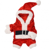 Costume de Noël pour chien