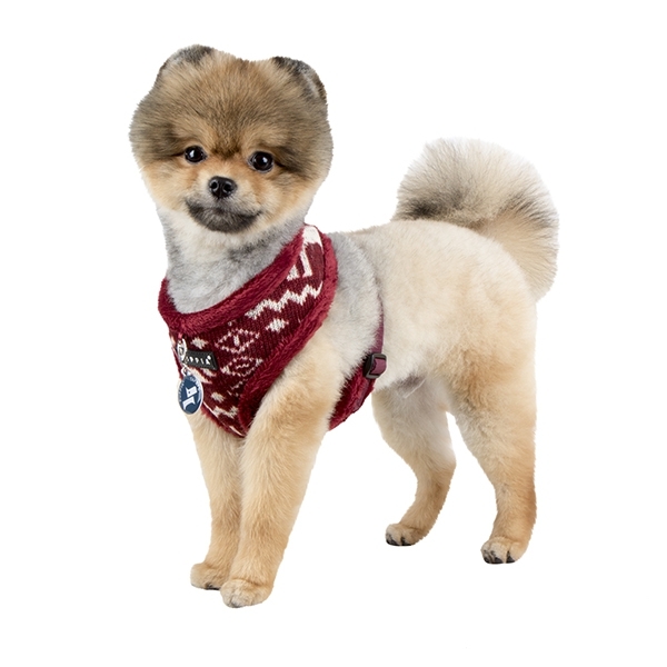 1 Pc Cuir Petit Chien Harnais Chihuahua Yorkie Harnais Mignon Pet Harnais  et Laisse Ensemble Pet-Rouge,L