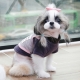 Sweat pour chien urban