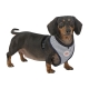 Harnais pour chien Navy Puppia