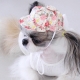 Casquette pour chien Portofino