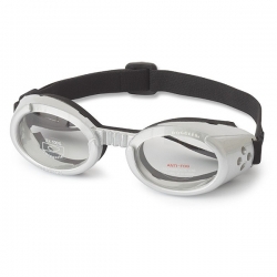 Lunettes pour chien silver