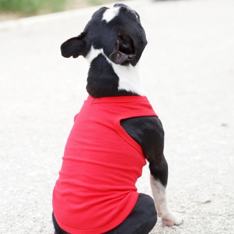 T-shirt pour chien rouge