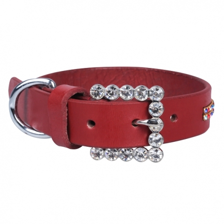 Collier pour chien Monte Carlo