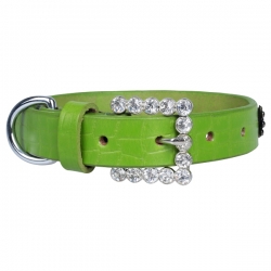 Collier pour chien vert avec strass