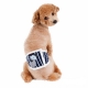 Bandeau pour chien anti-pipi Wouaf