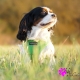 Harnais pour chien vert Puppia