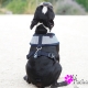 Harnais pour chien Navy Puppia