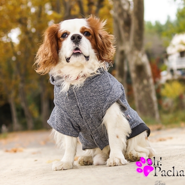 manteau chien 60 cm