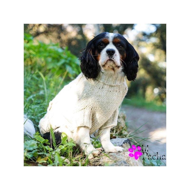 Modèle De Tricot Vintage Pour Chien, Pull Confortable Aran Cables, Chien Chiot, Manteau, Pull, Modèle De Tricot Pour Animaux De Compagnie, Téléchargement Immédiat Au Format PDF - 786 - France