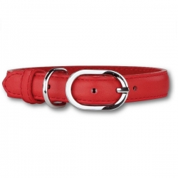 Collier pour chien rouge éclat